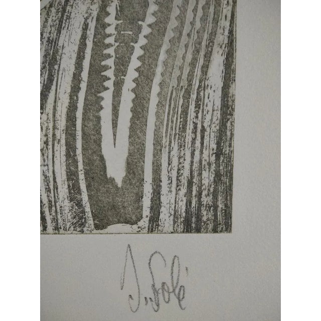 Jaume Solé, Composition, 1980, Engraving & Lithograph For Sale - Image 7 of 9