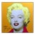 Steve Kaufman "Marilyn Monroe" Serigraph on Canvas Hand Signed# Orange Canvas For Sale