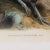 Mid 19th Century "Phasianus Versicolor, Vieill" Bird Engraving by John Gould, Framed For Sale - Image 4 of 6