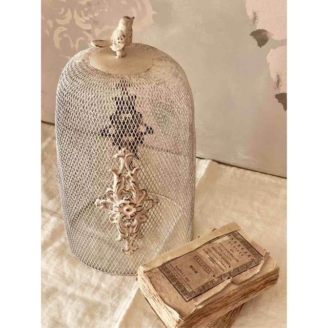 Large Decorative Cloche with Wooden Base and Wire Mesh Dome, 2010s For Sale - Image 11 of 12