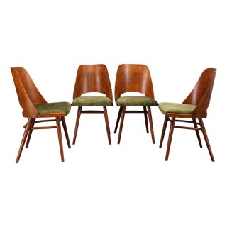 Mid-Century Model Ton 514 Dining Chairs attributed to Osvald Haerdtl for Ton, 1960s, Set of 4 For Sale
