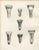 After Lilian Medland, Heads of the Wild Geese, 1909, Print For Sale - Image 3 of 12