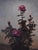 Maroon by Derek Harrison | Oil on linen Painting of pink roses with green leaves For Sale