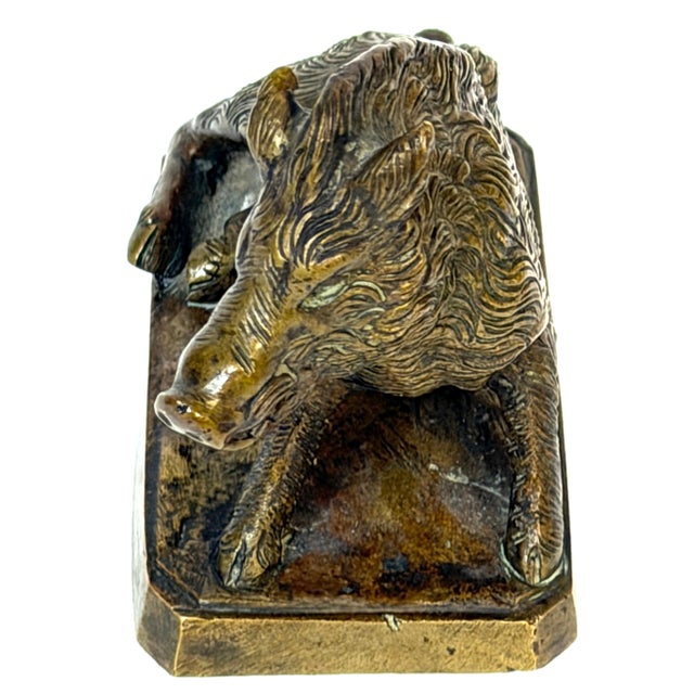 Italian Grand Tour Bronze “Porcellino” Boar After Pietro Tacca, Florence, 19th C For Sale In West Palm - Image 6 of 10