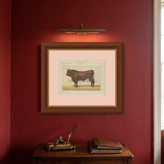 Paper Borie, Salers Bull, French Cattle Breed, 1863, Chromolithograph For Sale - Image 7 of 9