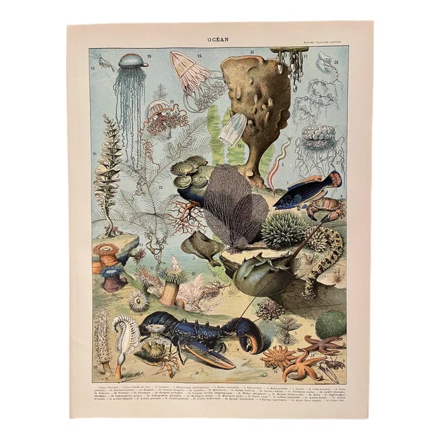 Adolphe Millot, Ocean Surface, 1900, Lithographic Engraving For Sale