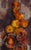 Mid-Century Art Pottery Wall Tile from Ruscha, Germany, 1970s For Sale - Image 4 of 7