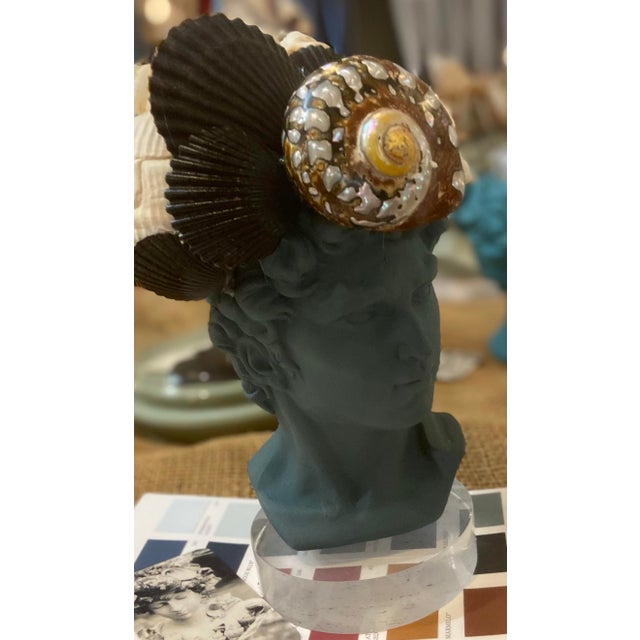Shell-Encrusted Bust in Farrow & Ball Inchyra, “The May River Matador” For Sale - Image 10 of 12