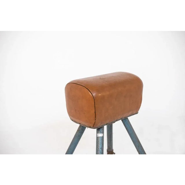 1950s Brown Leather and Varnished Iron Italian Exercise Horse For Sale - Image 5 of 6