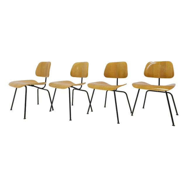 Eames Herman Miller DCM Chairs in Calico Ash and Black Frames For Sale