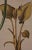 Basilius BeslerFlowering Hyacinth & Calla Plants: A Besler Hand-Colored Botanical Engraving, 1713 For Sale - Image 4 of 7
