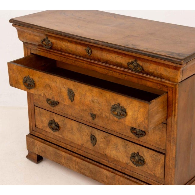 Louis Philippe Burl Walnut Commode, 19th C. For Sale In New York - Image 6 of 8
