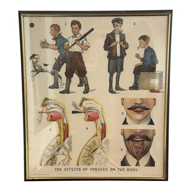 Late 19th Century W. & a.k. Johnston Effects of Tobacco on the Body Educational Chart For Sale