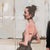 Early 21st Century Land by Michael Carson | Oil on Panel Three figures in stylish outfits standing together For Sale - Image 5 of 5
