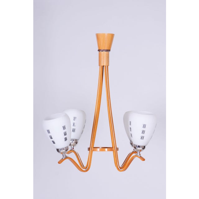 Mid-Century Chandelier in Beech and Glass by Dřevo Humpolec, Czech, 1960s For Sale - Image 9 of 12