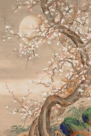 Japanese Plum Blossoms in Moonlight by Sō Shizan, Japanese Art, 16" X 24"