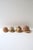 Mediterranean Seashells Natural, Set of 4 For Sale - Image 3 of 10