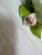 Capodimonte Blooming Flower Candle Holders, Set of Three For Sale - Image 11 of 12