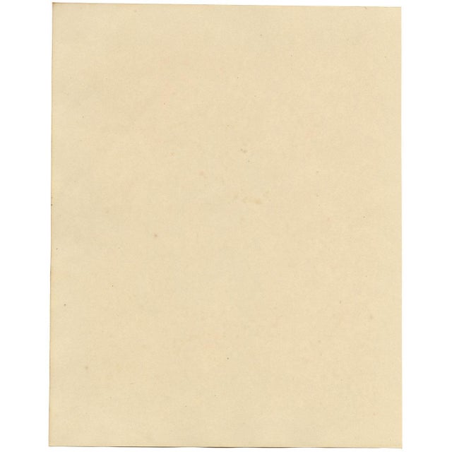 Michela De Vito Sailor, Costume of St. Lucia District of Naples, 1800s, Paper For Sale - Image 5 of 7
