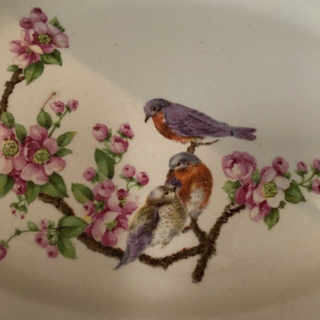 1942 Taylor, Smith & Taylor Oval Serving Platter Birds For Sale - Image 4 of 7