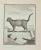 Le Chats Des Chartreux is an etching made by Louis-Simon Limper in 1771. It belongs to the suite "Natural, general and...