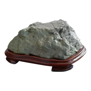 Early 20th Century Chinese Green Turtle Gongshi