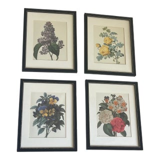 1960s Set of 4 P.J. Redoute Botanical Floral Chromolithographs Framed Reproduction For Sale