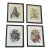 1960s Set of 4 P.J. Redoute Botanical Floral Chromolithographs Framed Reproduction For Sale