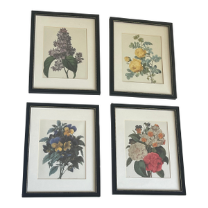 1960s Set of 4 P.J. Redoute Botanical Floral Chromolithographs Framed Reproduction
