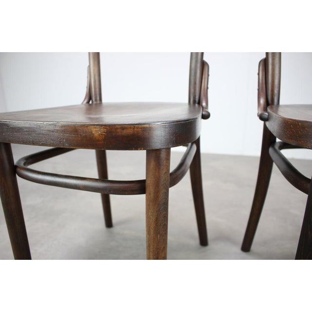 1920s Bentwood Chairs from Thonet, Former Czechoslovakia, 1920s, Set of 2 For Sale - Image 5 of 15