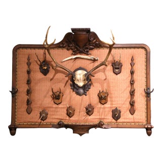 19th Century French Black Forest Style Walnut Hunting Trophy Wall Rack For Sale