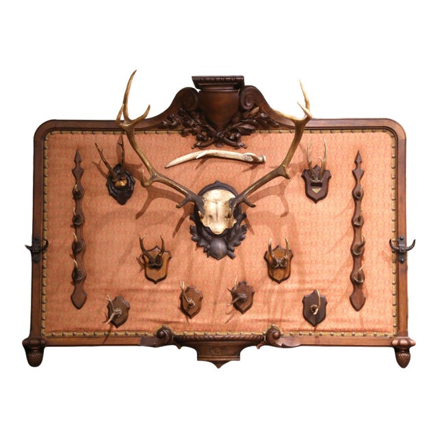 19th Century French Black Forest Style Walnut Hunting Trophy Wall Rack For Sale