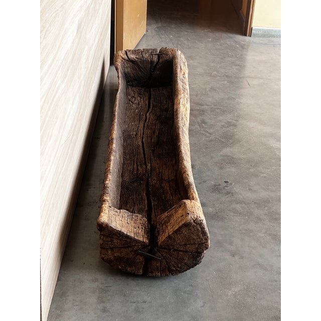 Early 18th Century Spanish Antique & Brutalist Hollowed Out Tree Trunk Wooden Planter, 1700 For Sale - Image 5 of 12