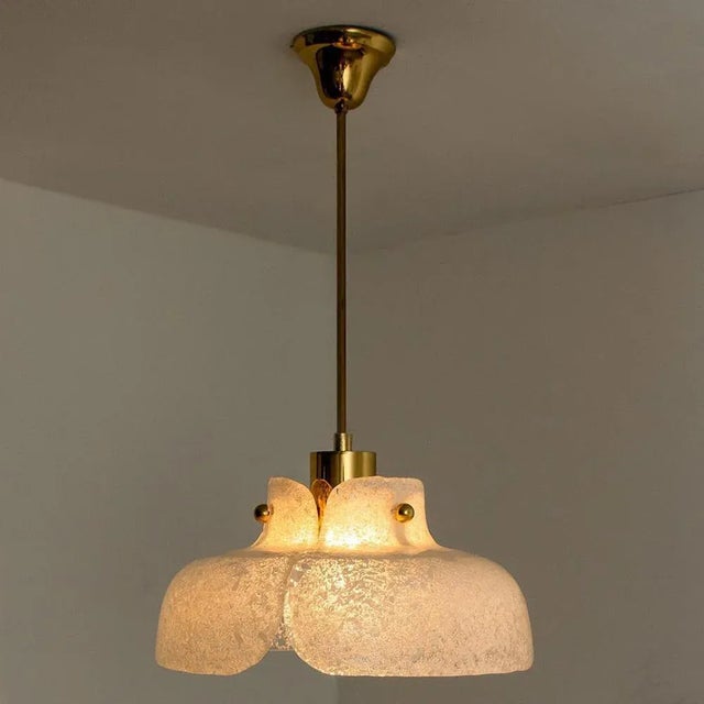 Flower Pendant Lamp from Hillebrand, Europe, Germany For Sale - Image 3 of 13