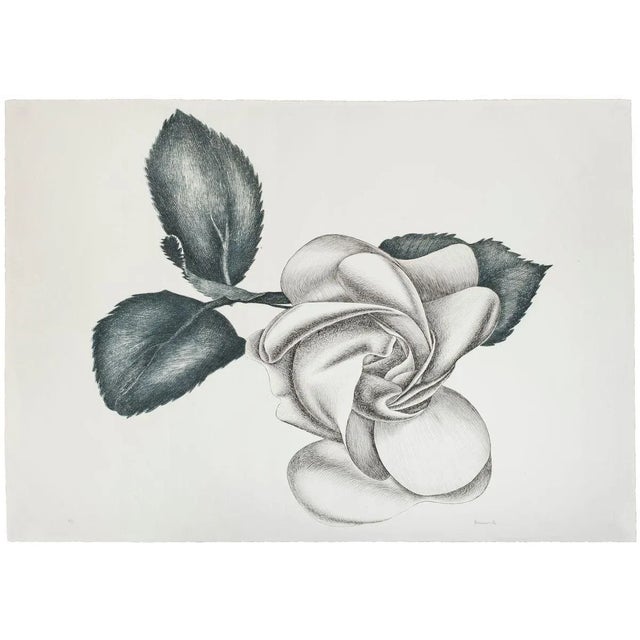 Black Rose - Original Etching by Giacomo Porzano - 1972 1972 For Sale - Image 4 of 4