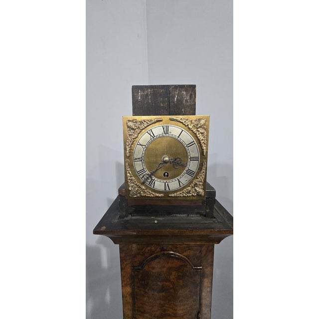Wood Burr Walnut Grandaughter Longcase Clock, 1920s For Sale - Image 7 of 13