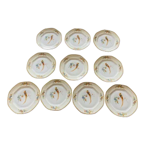 10 Antique Bird Parrots Porcelain Plates