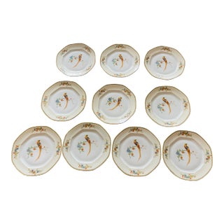 10 Antique Bird Parrots Porcelain Plates Checz For Sale