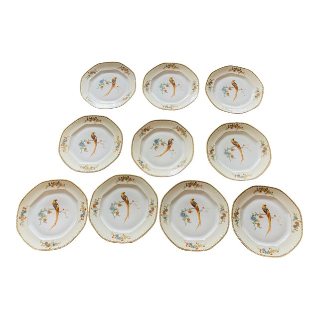 10 Antique Bird Parrots Porcelain Plates Checz For Sale