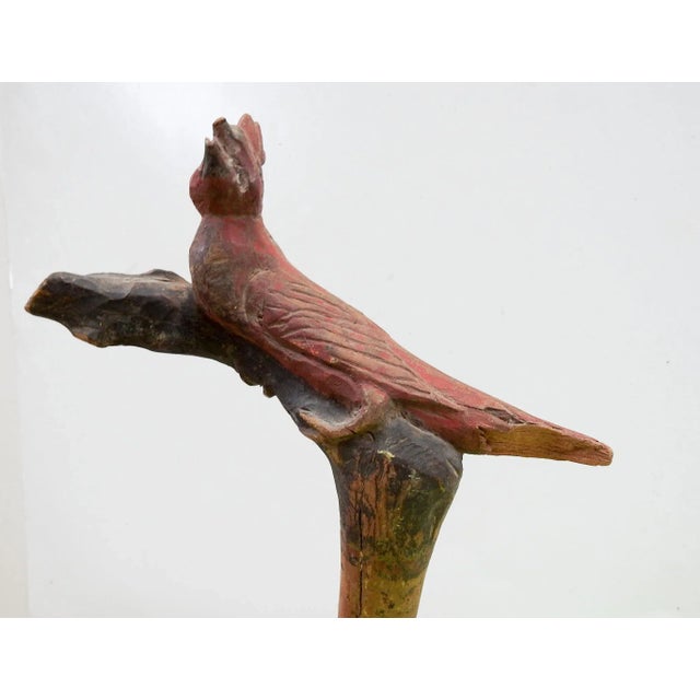 Vintage circa 1940's hand carved folk art cane by Fritz Rummler (1888-1983) Fredericksburg Texas. Branch of a tree carved...