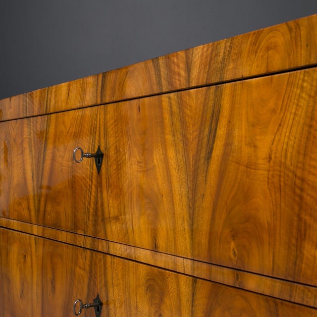 Antique German Biedermeier Chest of Drawers, 1800s For Sale - Image 12 of 13