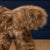 Rustic Verellen Racoon Natural Butterfly Stool For Sale - Image 3 of 3