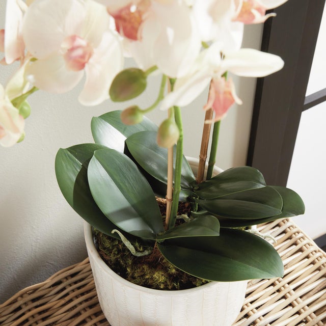 Early 21st Century Phalaenopsis Orchid Drop-In 23" For Sale - Image 5 of 5