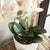 Early 21st Century Phalaenopsis Orchid Drop-In 23" For Sale - Image 5 of 5