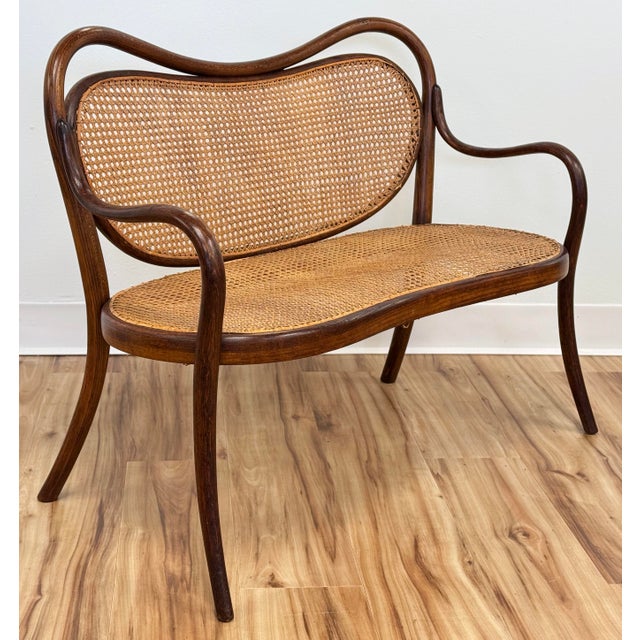 Vintage Child's Size Caned Thonet Style Bentwood Bench For Sale - Image 4 of 8
