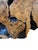 Signed Donnelly 1990 Abstract Wildlife Wood Sculpture – Organic Modern Art For Sale In Phoenix - Image 6 of 8