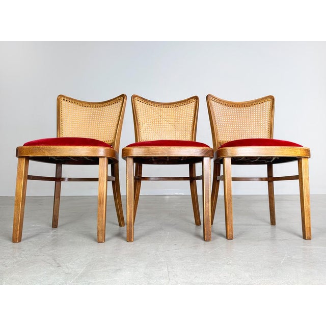 Beautiful set of 3 upholstered Thonet chairs from 1951. The chairs are known under the model number A811/1 and are here in...