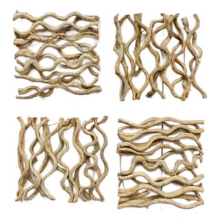 Large Vine Square Grouping - Wall Art Set of 4 For Sale