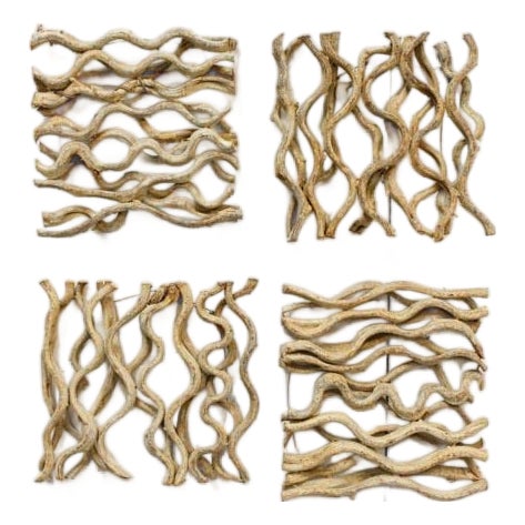 Large Vine Square Grouping - Wall Art Set of 4 For Sale