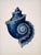 Set of 6 – Blue and White Conch Shells Collection | Coastal Natural History Fine Art Prints For Sale - Image 4 of 14